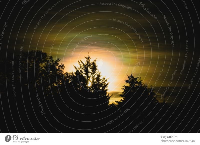 Der Tag beginnt. Sonnenaufgang Morgen Wald Baum Außenaufnahme Menschenleer Umwelt Sonnenstrahlen Landschaft Schönes Wetter Farbfoto Sonnenlicht ruhig Natur