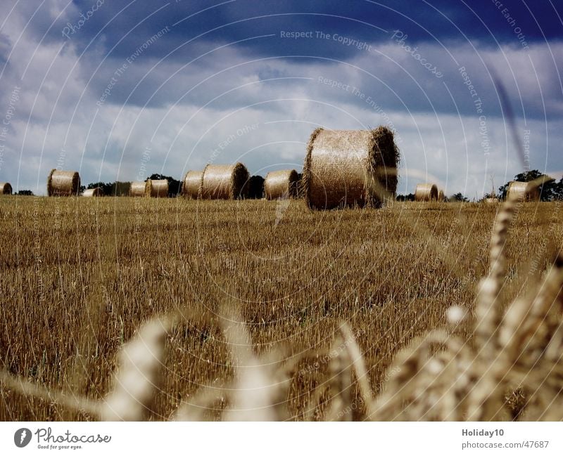 Ernte 2005 Stroh Feld Rügen rund Wolkenhimmel Stoppelfeld Halm Hintergrundbild Strohballen Landschaft