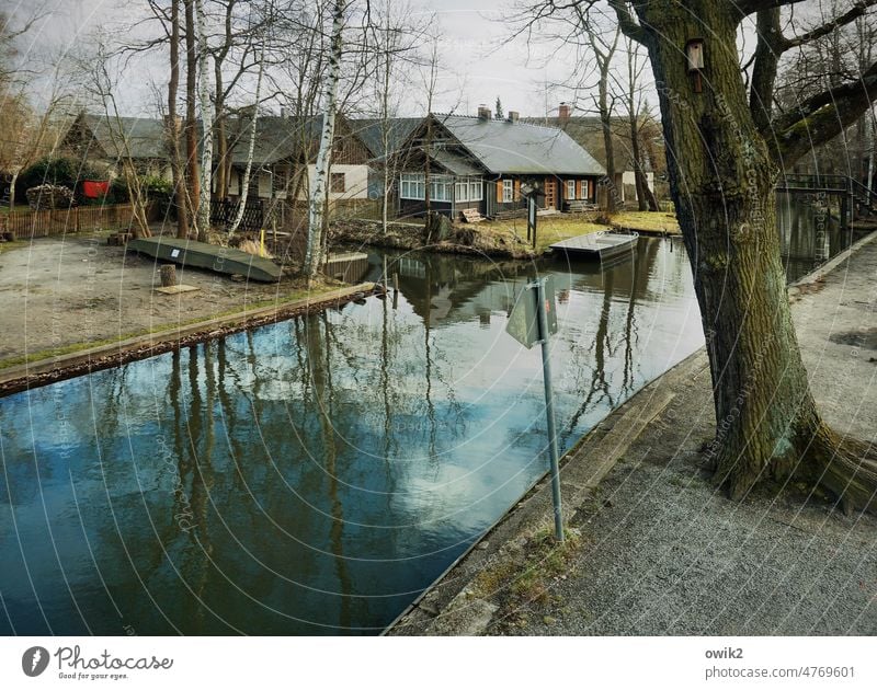 Leben, wo andere Urlaub machen Lehde Spreewald Dort Kanal Idylle Wasser Wasserstraße Dorfidylle friedlich ländlich einfach Sträucher Flussufer Uferlinie