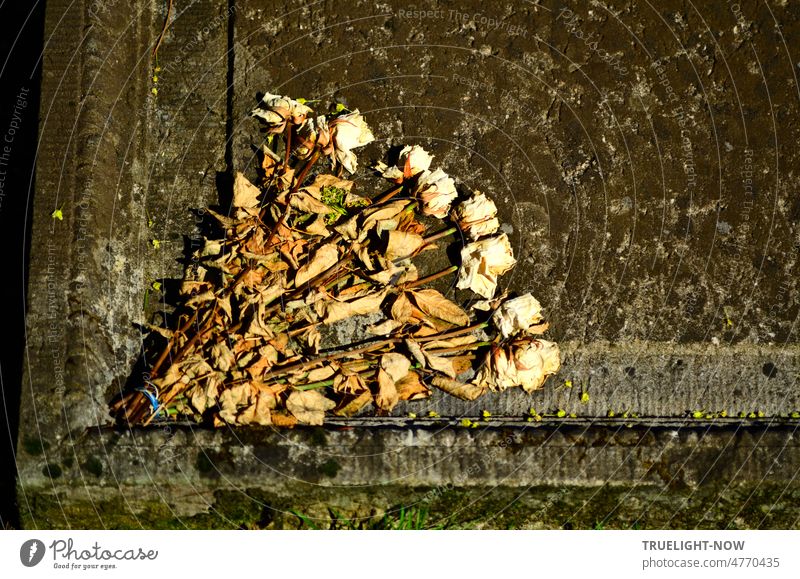 Un-Vergessen. Ein Strauß vertrockneter weißer Rosen liegt schon lange dekorativ auf einer uralten Grabstein Platte Grabplatte Erinnerung verstorben gestorben