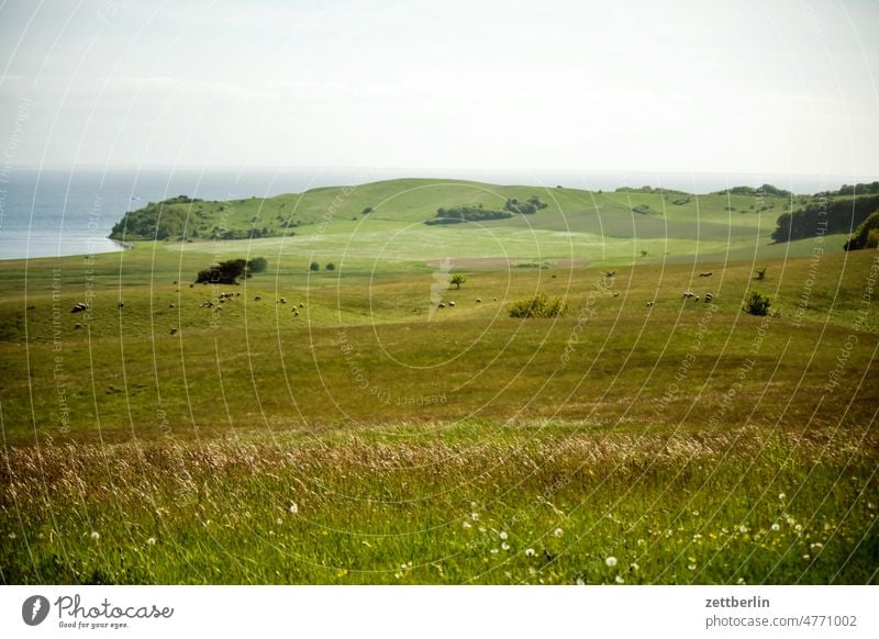 Zickersche Berge baabe landschaft mecklenburg-vorpommern mönchgut ostsee reise rügen tourismus urlaub berg hügel gras rasen wiese weide trockenrasen weite ferne