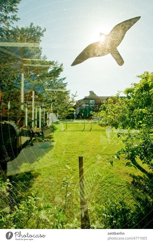 Vogel (Aufkleber) vogel raubvogel aufkleber scheibe glas glasscheibe aussicht ausblick garten wiese rasen gras landschaft sonne licht gegenlicht blenden