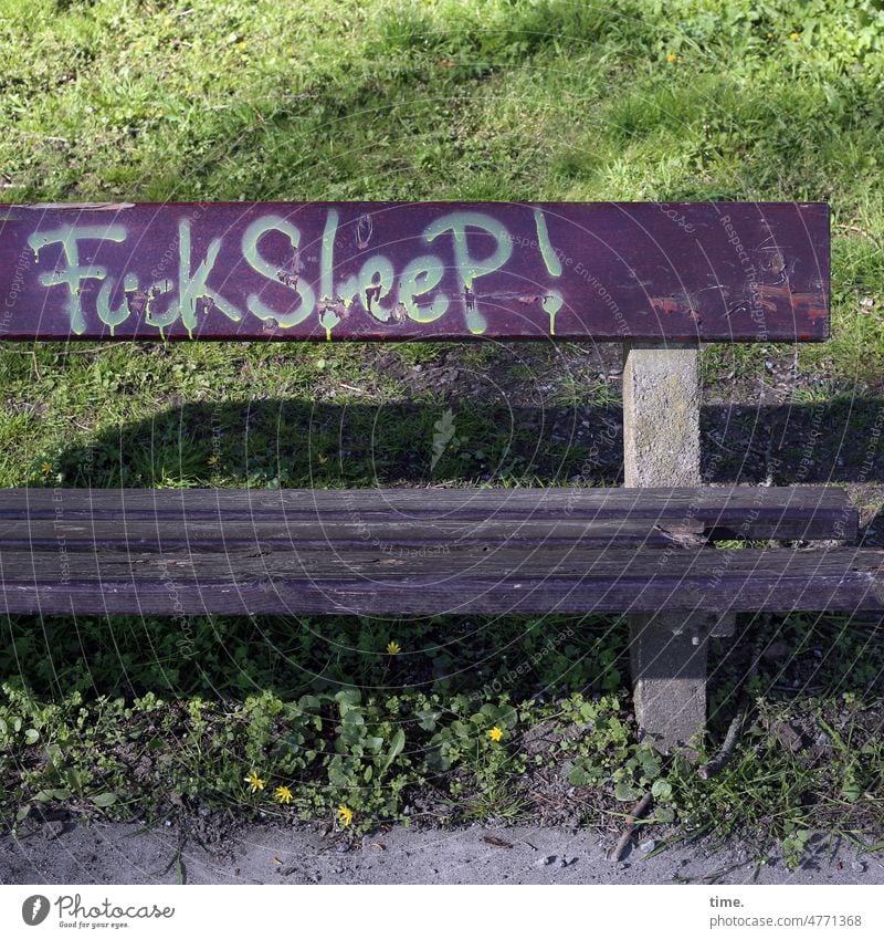 Parkbank sitzbank wiese grafitti text botschaft schlechte Laune kaputt holz beton schlafen scheiße sonnig schatten notplatz obdachlos meinung ärger wut englisch