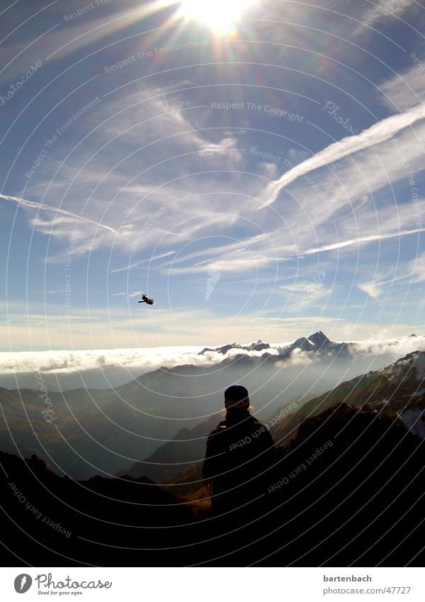 fernweh Wolken Gipfel Vogel Licht Berge u. Gebirge Schatten