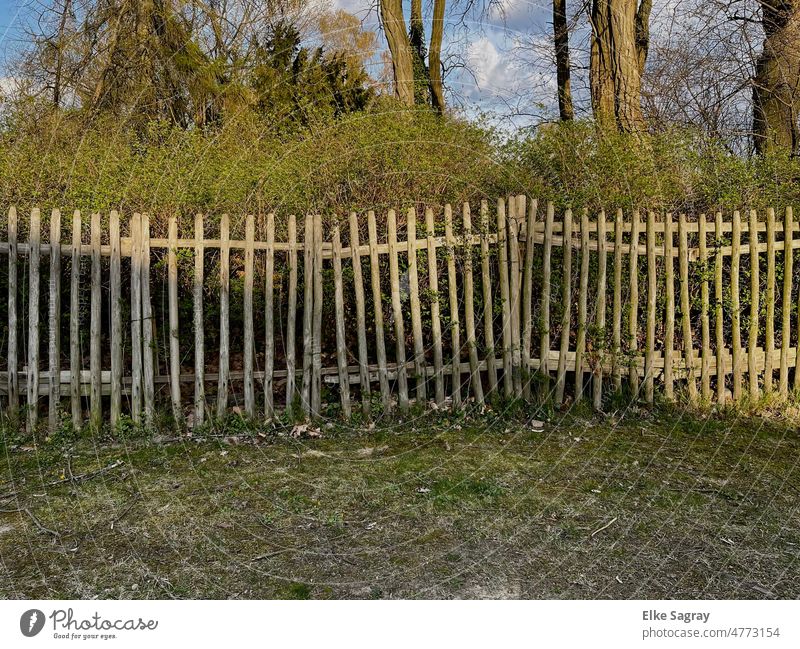 Es war einmal ein Lattenzaun,mit Zwischenraum hindurchzuschaun " CH. Morgenstern" Zaun Außenaufnahme Farbfoto Natur alt Gartenzaun Holzzaun Menschenleer Sommer