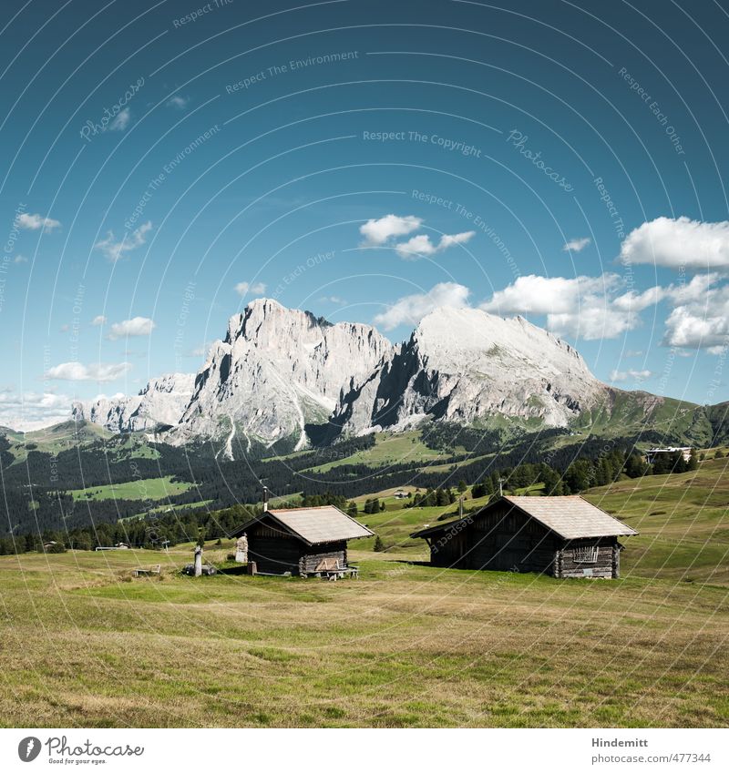 Steine im Vorgarten (1) Ferien & Urlaub & Reisen Tourismus Ausflug Erde Luft Himmel Wolkenloser Himmel Sommer Schönes Wetter Wiese Wald Hügel Felsen Alpen