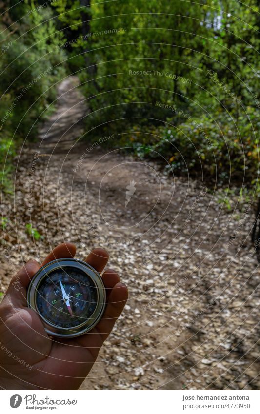 Männerhand, die einen Kompass im Wald hält Person Regie Beteiligung Mann Schifffahrt positionieren Suche Weg magnetisch Erkundung wandern Trekking Reise