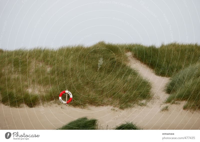 Dünenrettung Schwimmen & Baden Ferien & Urlaub & Reisen Tourismus Strand Meer Gras Sträucher Küste Sand grün Rettungsring Stranddüne Dünengras Kreis rot-weiß