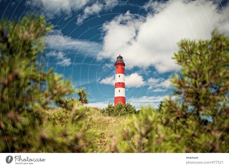 Leuchtturm Ferien & Urlaub & Reisen Tourismus Natur Landschaft Himmel Wolken Baum Sträucher Park Hügel Küste Nordsee Amrum Nordseeinsel Hafenstadt Bauwerk