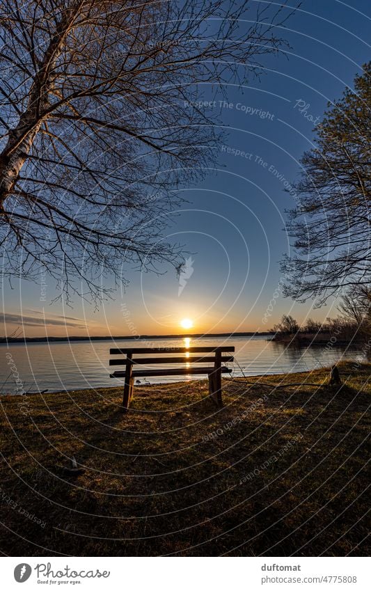 Eine Bank am See bei Sonnenuntergang Ruhe relax Erholung Natur Landschaft Menschenleer Außenaufnahme ruhe Einsamkeit Idylle Reflexion & Spiegelung Wasser