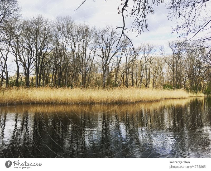 Still ruht der See ruhig Entspannung Erholung Wasser Natur Landschaft Ruhe Außenaufnahme Reflexion & Spiegelung Idylle Himmel entspannend Wasseroberfläche