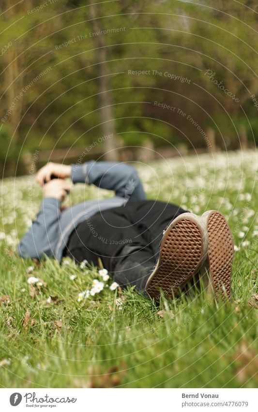 Pausenchat gelb bunt Frühling Blume Wiese Natur Pflanze Gras Außenaufnahme Farbfoto Blüte Tag Nahaufnahme Unschärfe natürlich Park grün Baum Gänseblümchen