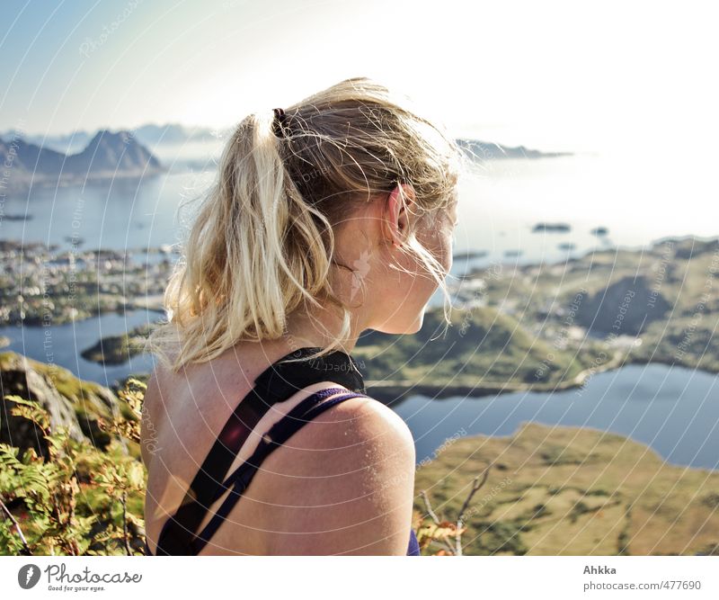 Lofoten V Ferien & Urlaub & Reisen Ausflug Abenteuer Ferne Freiheit Berge u. Gebirge wandern feminin Kopf Rücken 1 Mensch Natur Landschaft Bucht Fjord Pony