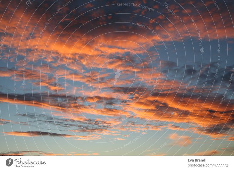 Orange-rosa Abendrot farbige Wolken am dunkelblauen Himmel beim Sonnenuntergang Sonnenaufgang Farbenspiel leuchten Rayleigh-Streuung Atmosphäre Romantik