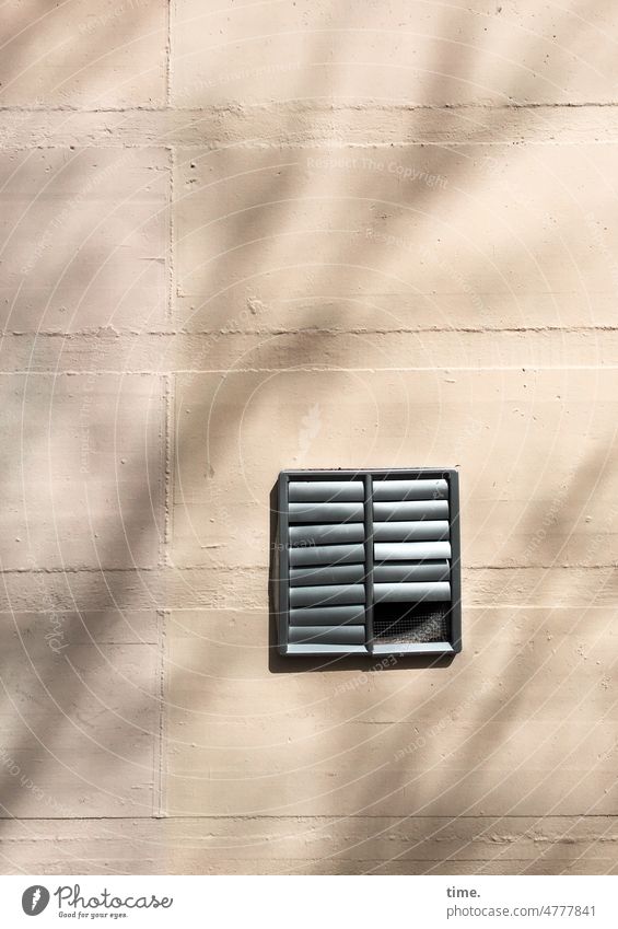 Spooky, dachte der Spatz, als er | im Loch | in der Wand verschwinden wollte ... mauer wand lüftung Lüftungsklappe lüftungsschacht sonnig schatten silhouette