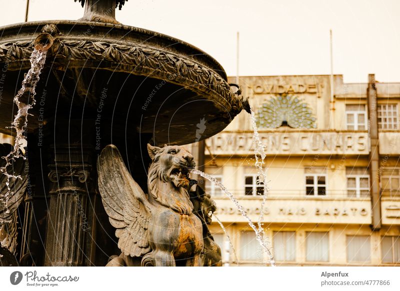 Speier Brunnen Wasser Architektur Springbrunnen Wassertropfen Brunnenwasser Wasserfontäne spritzen Menschenleer Tag Außenaufnahme Erfrischung sprudelnd Kühlung