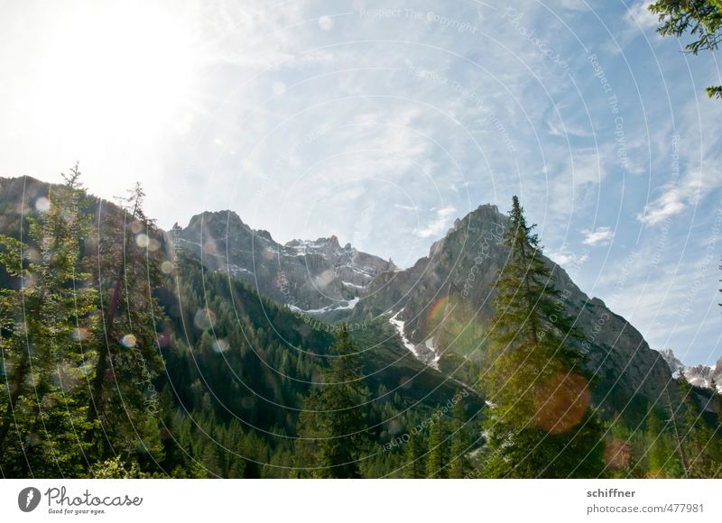 Viertel vor zwölf Umwelt Natur Landschaft Sonne Sonnenlicht Schönes Wetter Baum Felsen Alpen Berge u. Gebirge Gipfel Schneebedeckte Gipfel hell