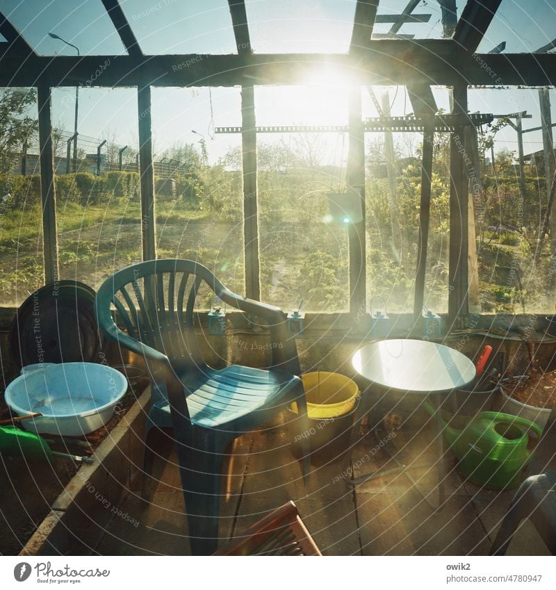 Lobby Gewächshaus Gartenhaus Innenaufnahme gemütlich Licht Sonnenlicht Stuhl Fenster sonnenplatz Menschenleer Gebäude Sitzecke sitzplatz provisorisch