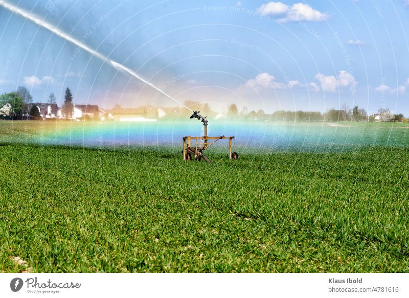 Bewässerungsanlage in der Landwirtschaft Eifel Landschaften Feld Umwelt Außenaufnahme Pflanze Natur Schönes Wetter Ackerbau Wachstum Sonnenlicht Sommer Ernte