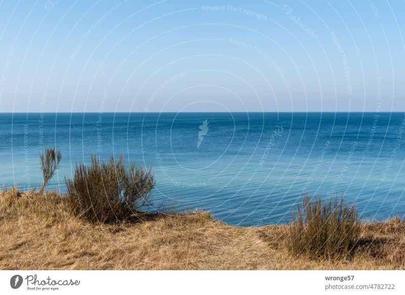 Horizont und Meer Horizont über dem Wasser Ostsee Blauer Himmel Wolkenloser Himmel wolkenlos blaues Wasser Schönes Wetter Küste Landschaft Farbfoto