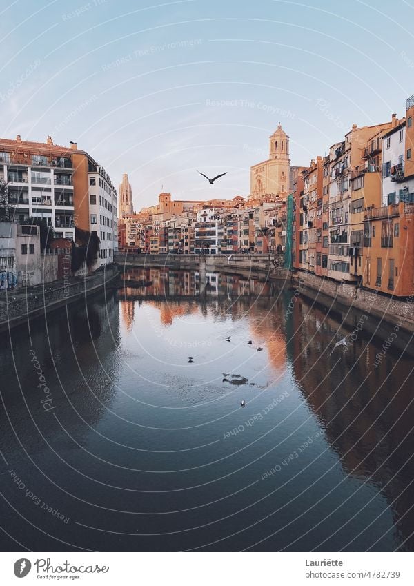 Fluss Onyar in Girona mit einem fliegenden Vogel Architektur barcelona - spanien Boot Brücke Brücke - gebaute Konstruktion Gebäude gebaute Struktur Kanal