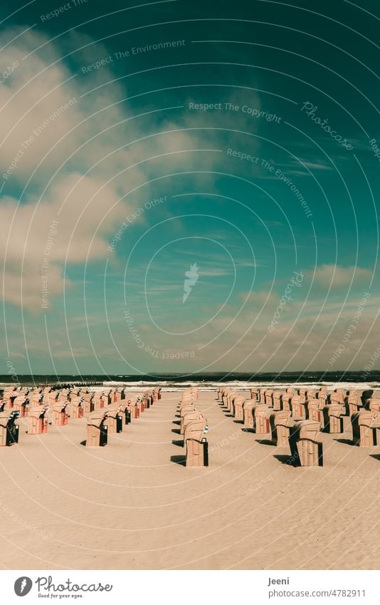 Annähernd 800 Strandkörbe am Ostseestrand Strandkorb Strandkorbvermietung Vermietung aufgereiht Ordnung ordentlich Sand Himmel Wasser Meer Küste blau Urlaub