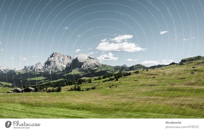 Lieber Alm dran als Alm ab. Ferien & Urlaub & Reisen Tourismus Ausflug Urelemente Erde Luft Himmel Wolken Sommer Schönes Wetter Baum Gras Wiese Wald Hügel