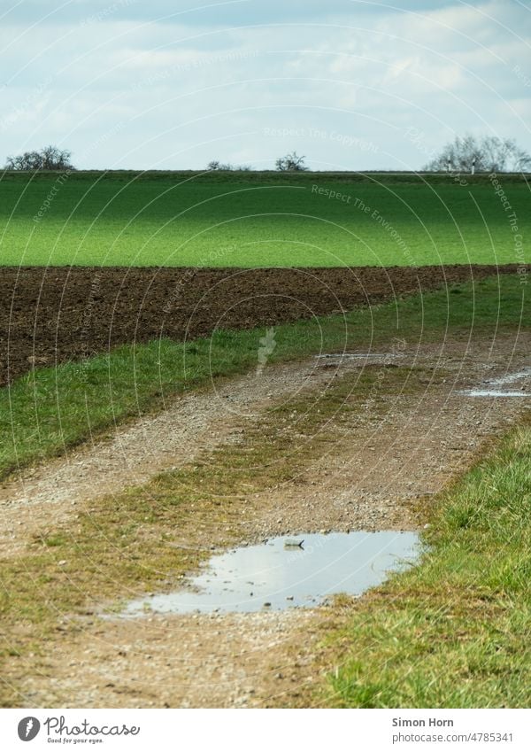 Feldweg in wechselndem Licht Wolken Lichtspiel Wege & Pfade Schatten Schichten Spaziergang Landschaft Umwelt Einsamkeit wandern Pfütze Pfützenspiegelung Natur