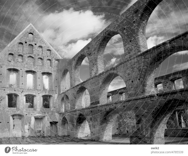 Hoch und heilig Kloster Mauer Kirche Bauwerk Fensterbogen alt groß historisch Gebetsstätte Religion & Glaube Gotteshäuser Vergänglichkeit Vergangenheit