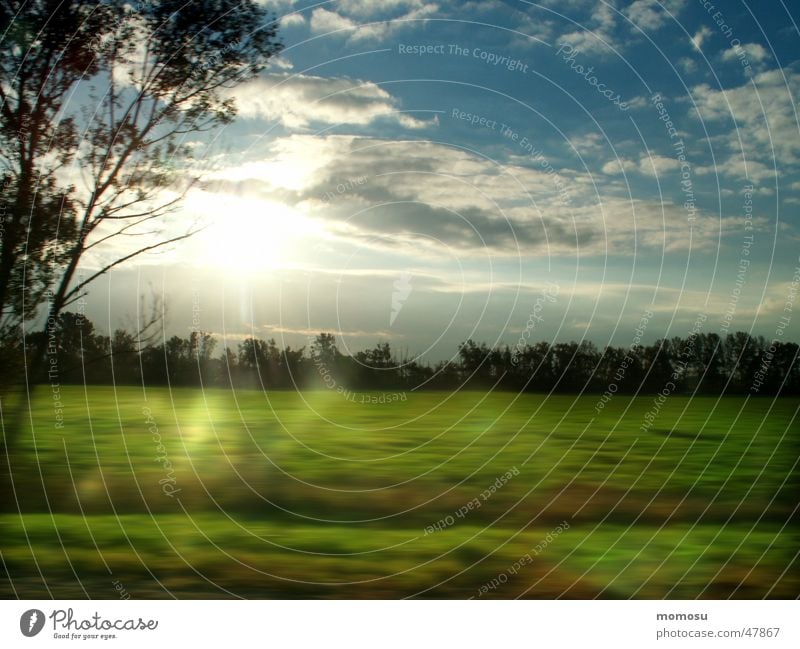 ...morgens auf der Autobahn Wiese Feld Baum Wolken Licht fahren Himmel Sonne Bewegung Lichterscheinung meadow field tree sky clouds sun light motion