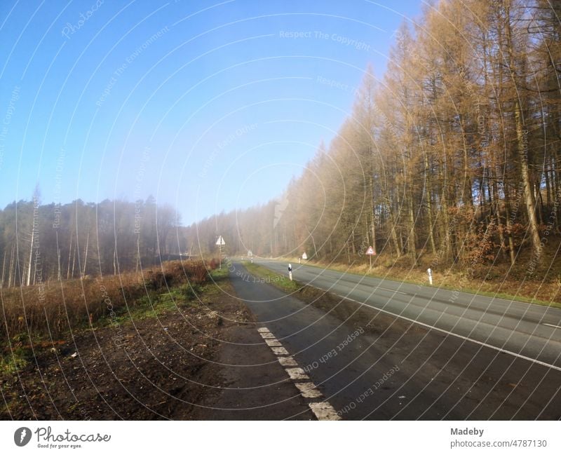 Landstraße zwischen Oerlinghausen und Bielefeld mit blauem Himmel und Sonnenschein nach leichtem Nebel im Teutoburger Wald in Ostwestfalen-Lippe Straße