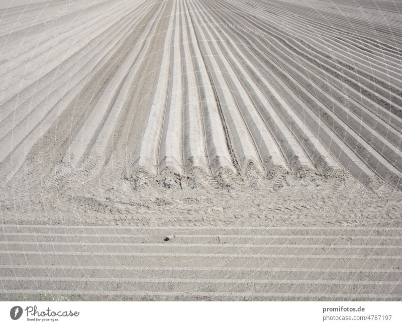 Landwirtschaft: Ein gepflügtes Feld in Bayern in Deutschland. Foto: Alexander Hauk Bauer Erde Außenaufnahme menschenleer nahrung essen getreide spargel pflanzen