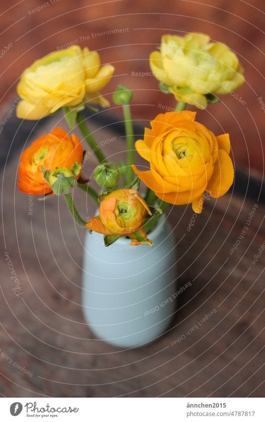 Ein Strauß gelb oranger Ranunkeln in einer türkisen Vase auf einem Holzbrett stehend Blume Blüte hygge grün braun blühend Innenaufnahme Natur Blumenstrauß