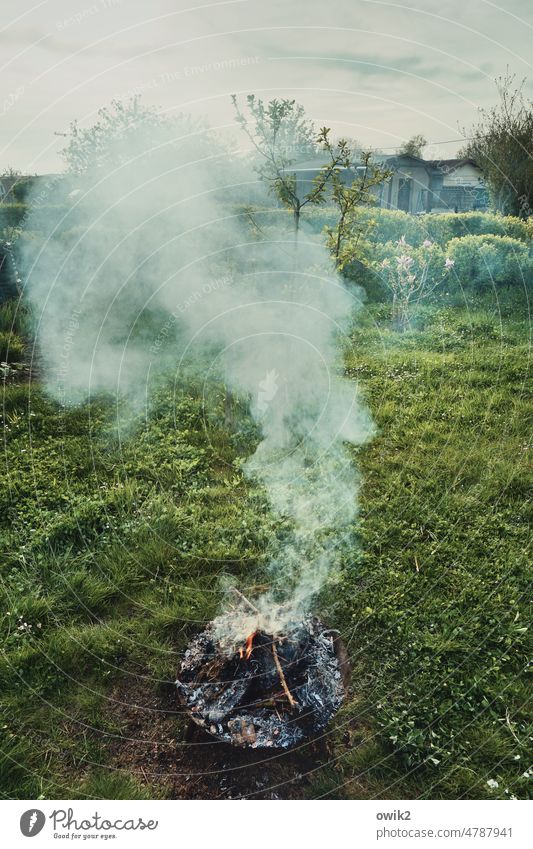 Asche zu Asche Feuerstelle Holzfeuer Räuchern Qualm Rauchschwaden stinken bedrohlich ungesund Abgas Luftverschmutzung Umweltverschmutzung ländlich im Freien