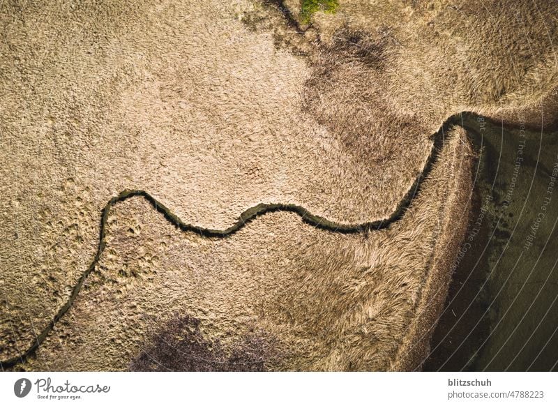 kleiner Bach durch Schilf in den See see bach schilf bächlein Seeufer Landschaft Umwelt Natur Idylle luftaunahme aerialphoto drohne drone aerialshot abstrakt