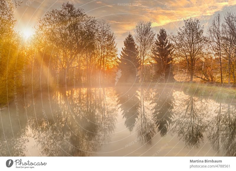 Sonnenaufgang über einem Weiher in Bayern mit aufsteigendem Nebel Landschaft farbenfroh See Morgendämmerung Natur neblig Teich Wasser Saison Bäume Farbe