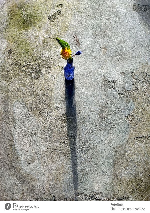 Kleine Kunstwerke werfen lange Schatten - wir haben eine blaue alte Flasche mit einer gelben Blüte des Löwenzahns, einer blauen Blüte der Perlhyazinthe und einem grünen Farnblatt dekoriert. So sieht der schmuddelige Lost Place schon viel gemütlicher aus.