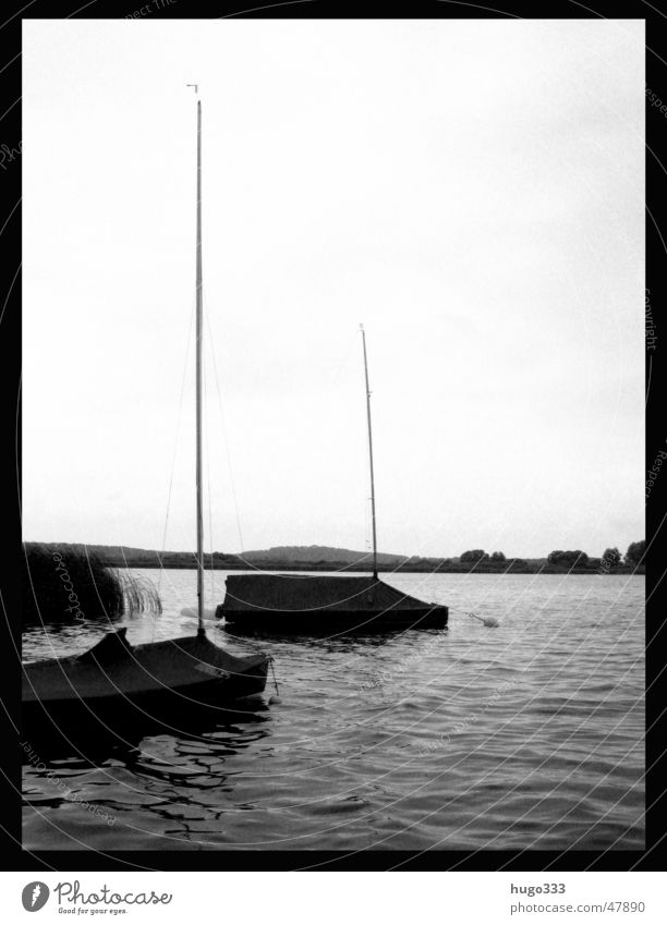 Herr: es ist Zeit. Der Sommer war sehr groß... Wasserfahrzeug Segelboot See Abdeckung ruhig Brandenburg Schwarzweißfoto Windstille