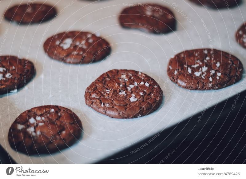 Schokoladenkekse mit Meersalzstückchen süß Dessert braun lecker Snack weiß Keks geschmackvoll dunkel Zucker Süßigkeiten Nahaufnahme Bonbon gebacken Kaffee