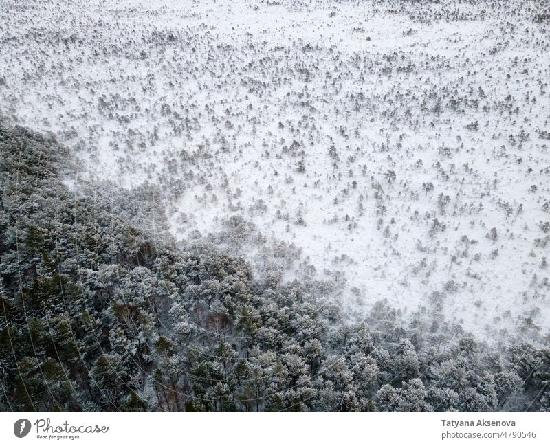 Bäume mit Schnee bedeckt im Winterwald Luftaufnahme Wald Natur Saison Baum Antenne Dröhnen kalt Wetter Frost Landschaft Ansicht weiß Holz im Freien Eis