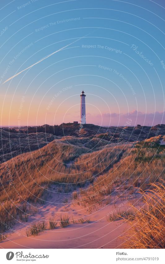 Lyngvig Fyr im ersten Morgenlicht Leuchtturm Däenmark Dänemark Nordsee Außenaufnahme Farbfoto Küste Düne Landschaft Meer Ferien & Urlaub & Reisen Menschenleer