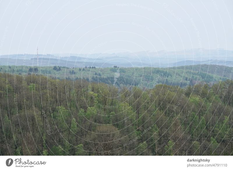 Landschaft des Siegerlandes und des Sauerlandes im Rothaargebirge Sommer Natur Wald Berge u. Gebirge Himmel Außenaufnahme Farbfoto Umwelt Menschenleer Wolken