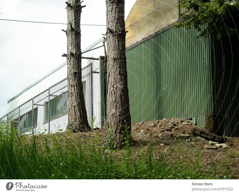 karge Bäume neben Hallen karge Landschaft Industrie Renaturierung karge Natur Gitter Baumstämmme Umwelt Industrielandschaft