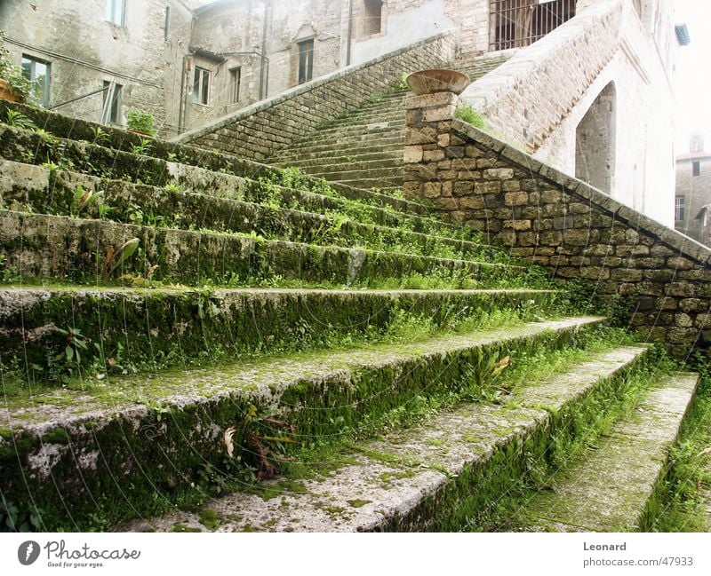 Alte Treppe Rheinland-Pfalz Palast Gras Sonne glühen Italien Leiter schreiten Stein Burg oder Schloss shine Schatten stair step grass palace castle