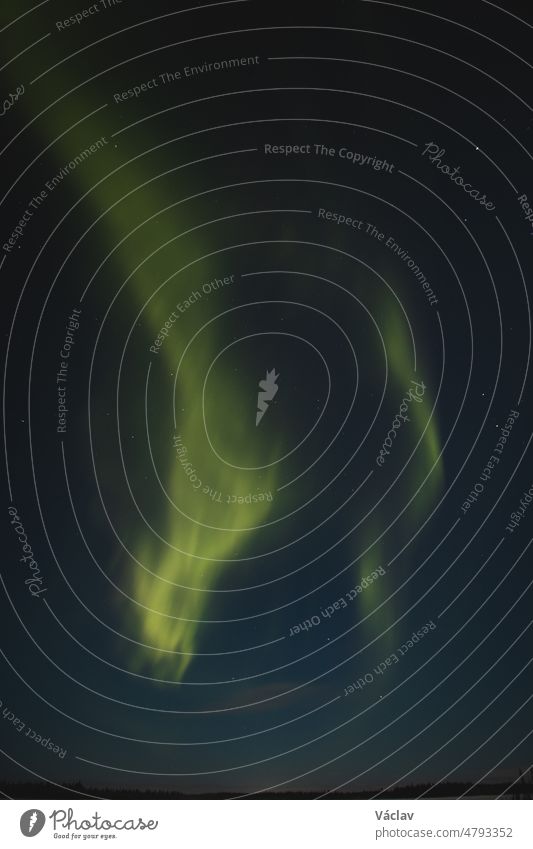 Atemberaubende grüne tanzende Aurora Borealis am dunklen Himmel in Levi, Lappland, Nordfinnland. Grüne Streifen von Nordlichtern während des Polarwinters in Skandinavien. Entdeckung der Wortspiele der Natur