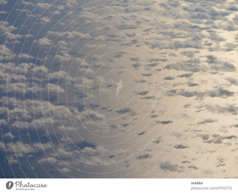 Goldener Ozean mit kleinen Wölkchen Wolken Meer Wasser Wellen Ferien & Urlaub & Reisen Tourismus Natur Ferne Fernweh Flugzeug Luftaufnahme Cumulus Sunglint