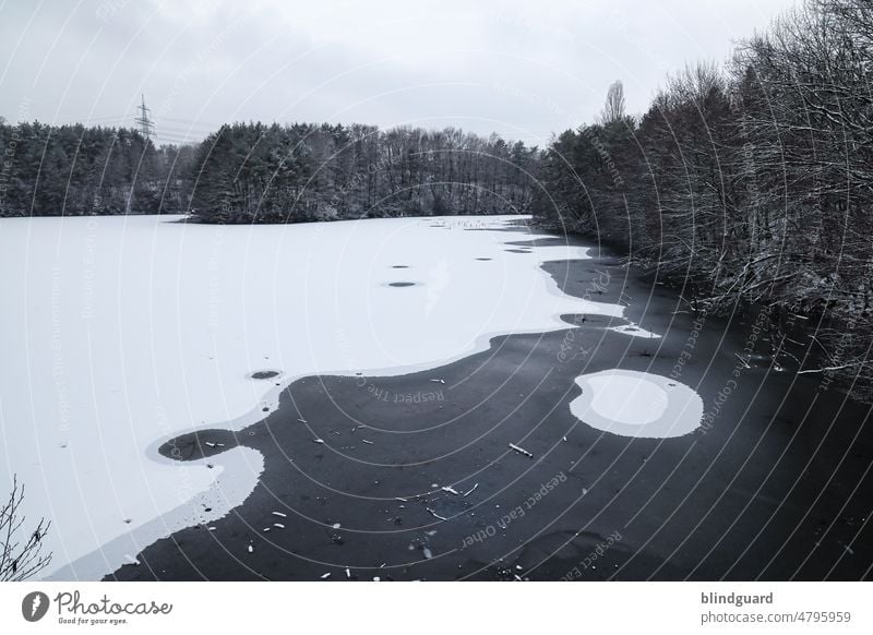 Je mehr sich die Erdatmosphäre erwärmt umso kälter wird es zwischen den Menschen Winter See Schnee Eis Bäume Natur kalt Frost gefroren weiß Wetter Landschaft