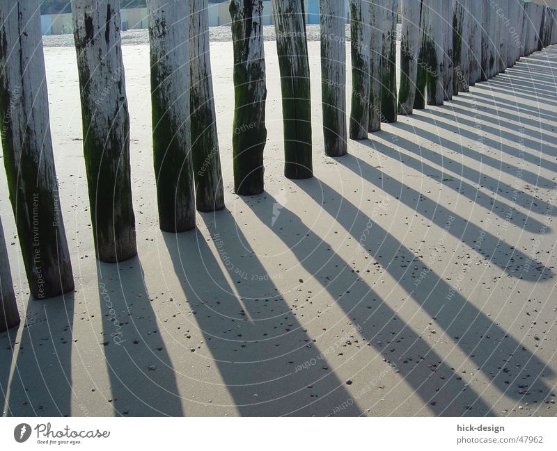 schatten schlange Küste Strand See Meer Schatten shadow sea coast north sea Nordsee Sand Sonne sun