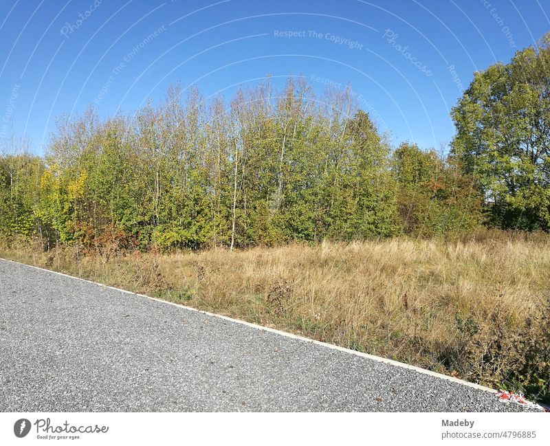 Ebener grauer Schotterparkplatz vor grünen Büschen und Sträuchern und blauem Himmel bei Sonnenschein in Oelde in Westfalen im Münsterland Deutschland deutsch