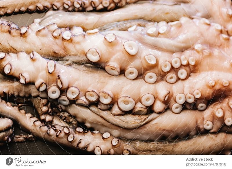 Roher Oktopus auf schwarzem Tisch Octopus roh Meeresfrüchte ungekocht Tentakel Küche kulinarisch Lebensmittel Produkt natürlich frisch Molluske Licht ganz